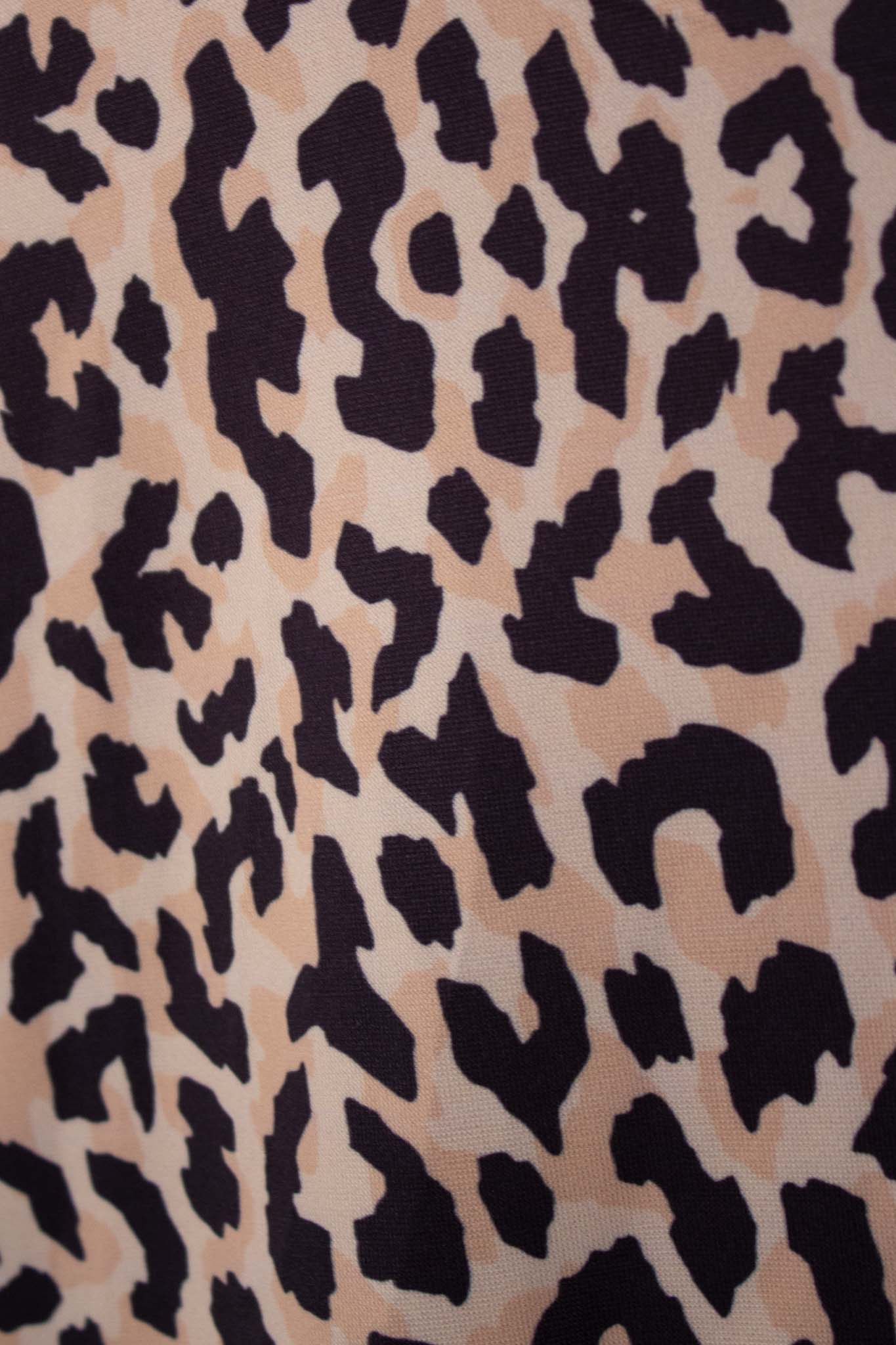 KANYAY Leopard