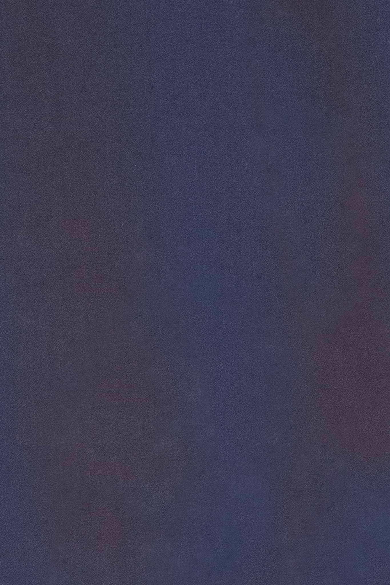 CARLA Navy